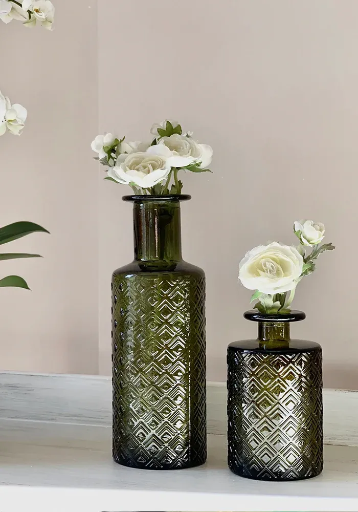 Diffuseur Aloe Vera – Image 2